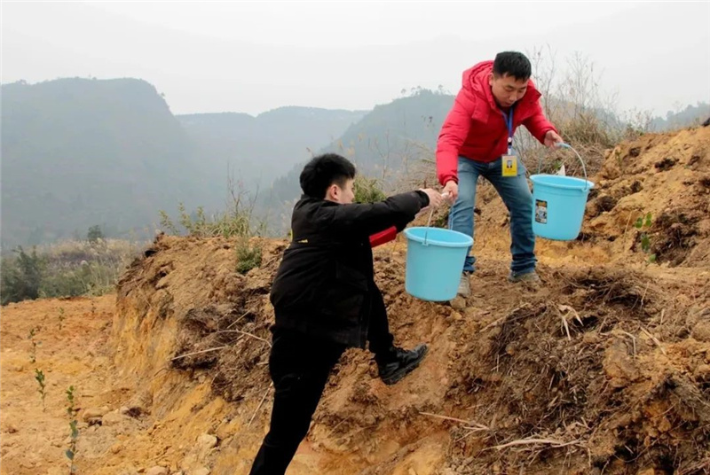 1674983967602112.jpg 106.jpg