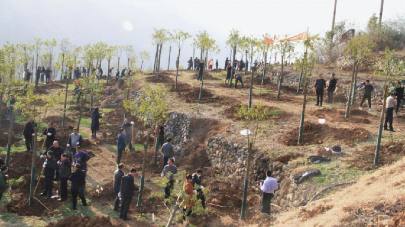 1675653887911651.png 31.png