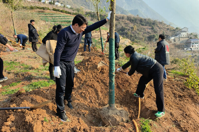 1675653987605136.png 35.png