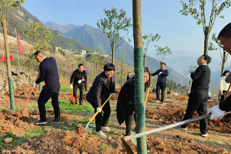 1675654001847381.png 36.png