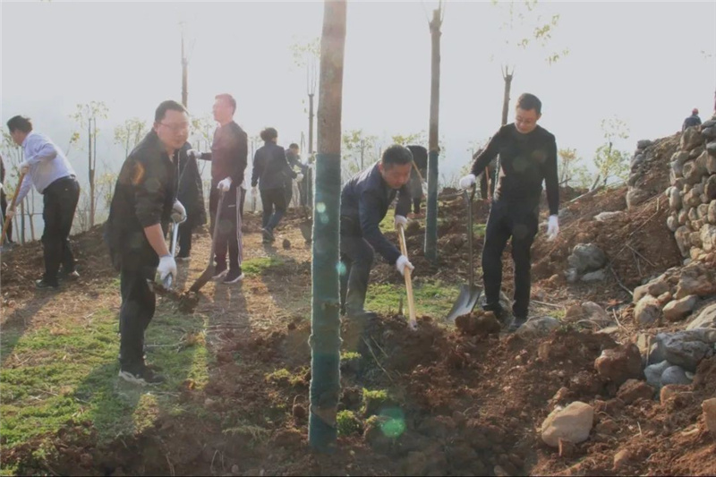 1675654059942180.jpg 37.jpg