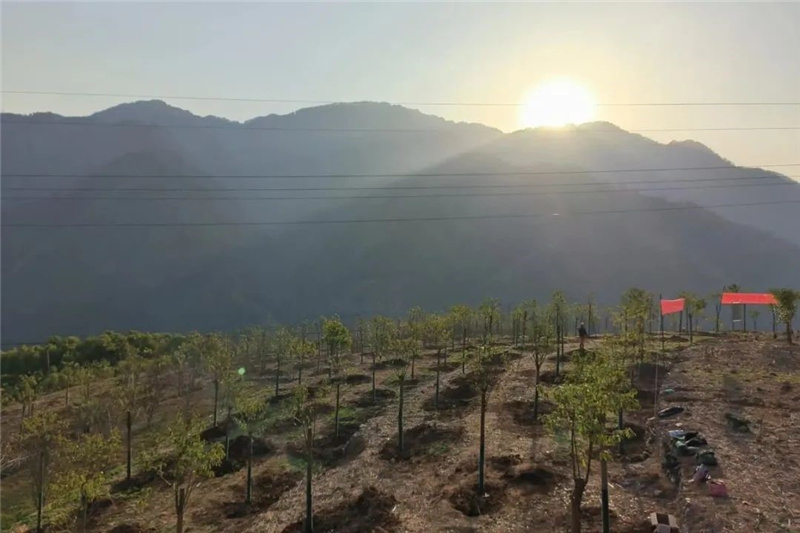 1675654082969551.jpg 38.jpg