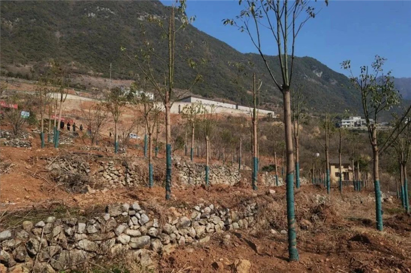 1675654096454644.jpg 39.jpg