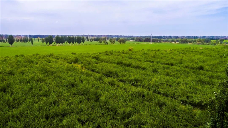 1676273388933882.jpg 23.jpg