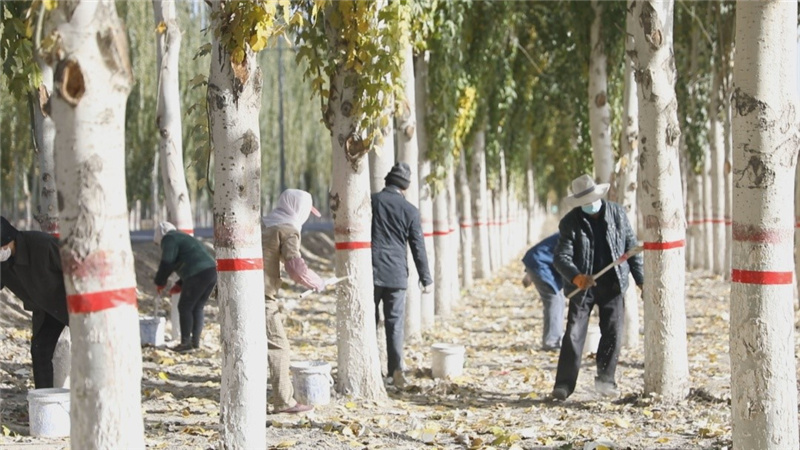 1676273479682289.jpg 24.jpg