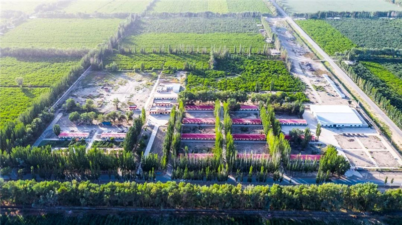 1676273493844327.jpg 25.jpg