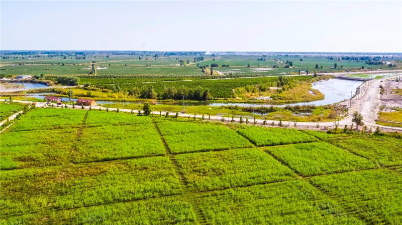 1676273518627930.jpg 26.jpg