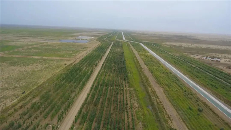 1676273533663380.jpg 27.jpg