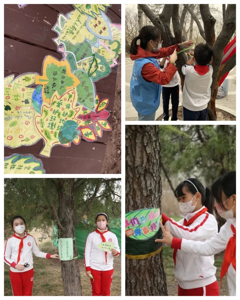 1678542033336117.jpg 1678542033336117.jpg