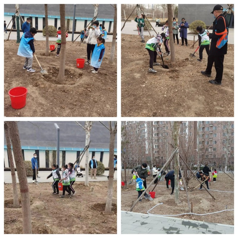 1678542208290493.jpg 1678542208290493.jpg