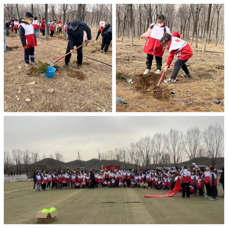 1678542324315085.jpg 1678542324315085.jpg