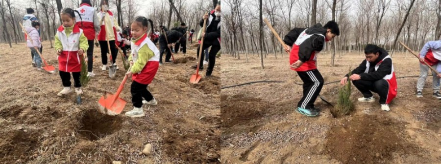 1678542344404476.jpg 1678542344404476.jpg