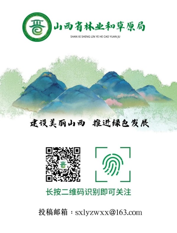 1678798773349748.jpg 14_副本.jpg