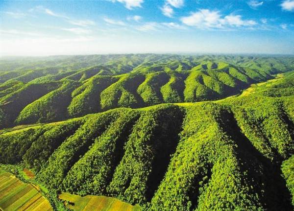 1678951450320811.png 2.png