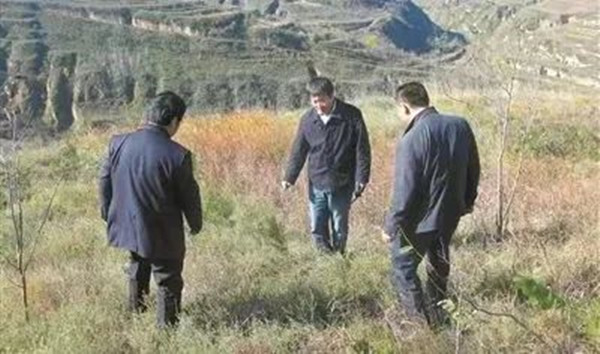 1678951535846899.jpg 3_副本.jpg