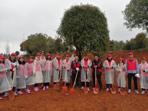 1679276808601934.jpg 1.jpg