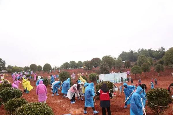 1679276819668698.jpg 2.jpg