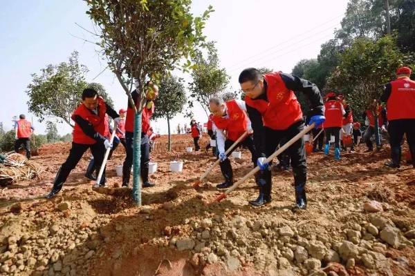 1679276853884764.jpg 4.jpg