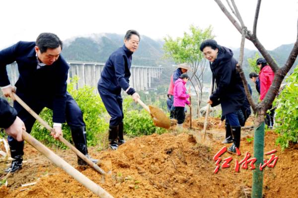 1679276902823233.png 6.png