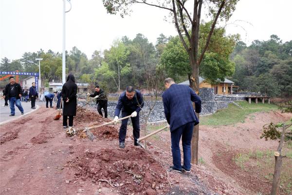 1679276924447238.png 7.png