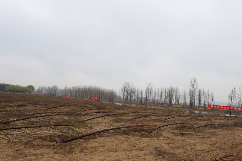 IMG_1526_副本.jpg IMG_1526_副本.jpg