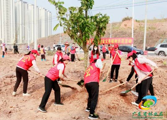 1679383426859110.png 1679383426859110.png