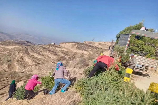 1679972487783428.jpg 1_副本.jpg