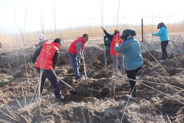 1680067356357216.png 微信图片_202303291321221_副本.png