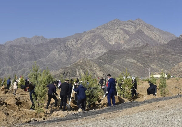 1681352413233180.png 微信图片_202304131018532_副本.png