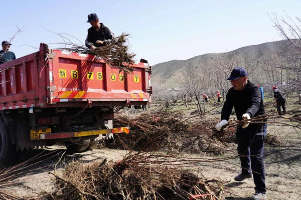 1683166147269912.jpg 2_副本.jpg