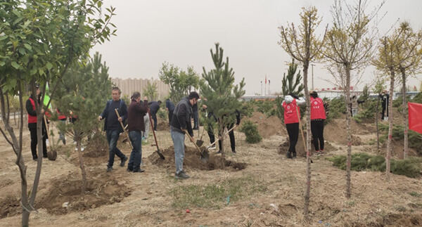 1683365344451328.png 1_副本.png