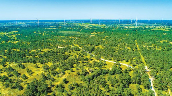 1686887340821131.jpg 1_副本.jpg