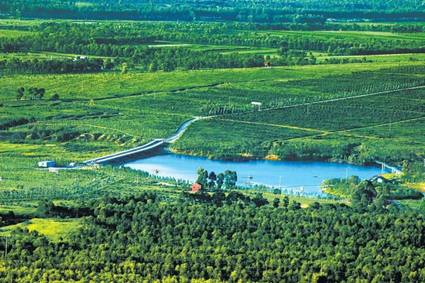 1686887380107317.jpg 3_副本.jpg