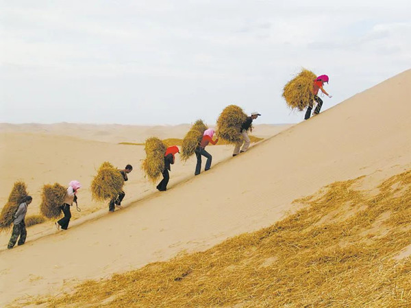 1686887397414965.jpg 4_副本.jpg