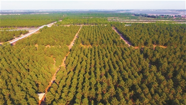 1688090241237780.jpg 3_副本.jpg