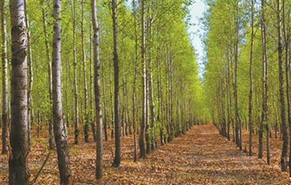 1688090253152036.jpg 4_副本.jpg