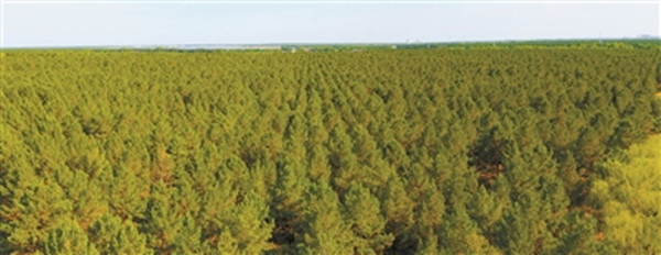 1688090295650164.jpg 7_副本.jpg