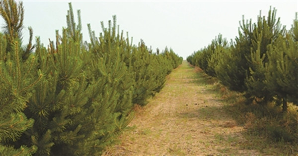 1688090323942031.jpg 8_副本.jpg