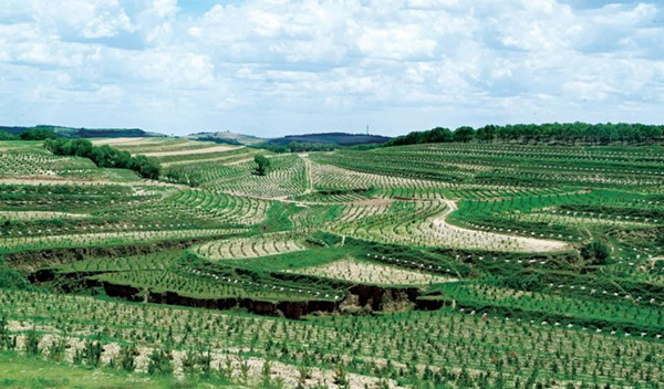 1688113876293659.jpg 2_副本.jpg