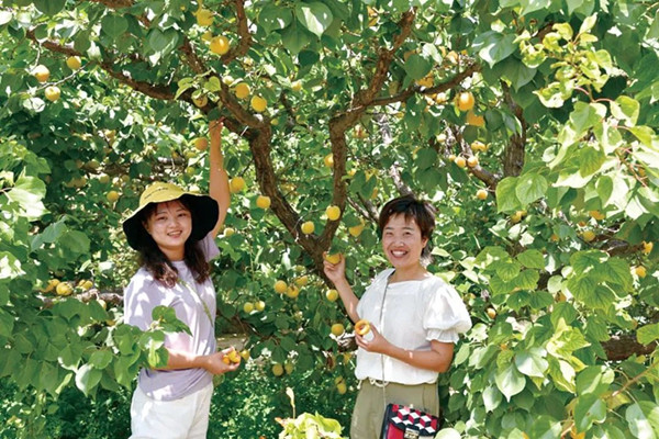 1688113894462708.jpg 3_副本.jpg