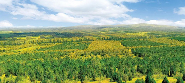 1688113914613418.jpg 5_副本.jpg