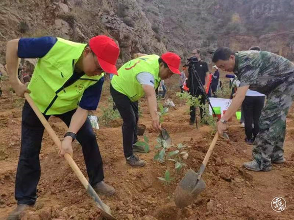 1688347685831137.jpg 2_副本.jpg