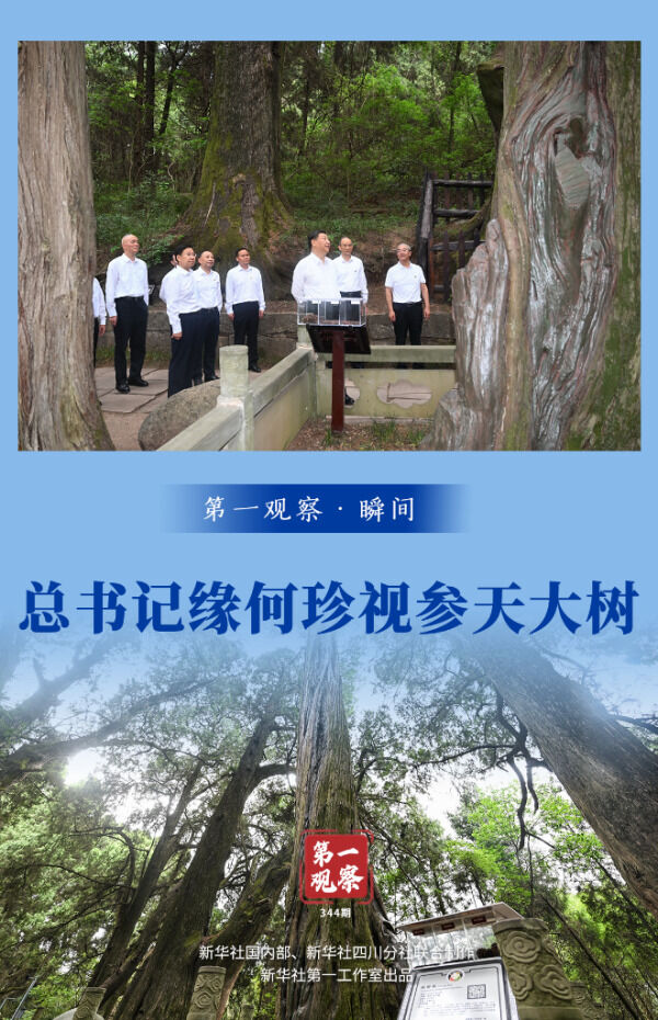 1690770231699452.png 1-.png