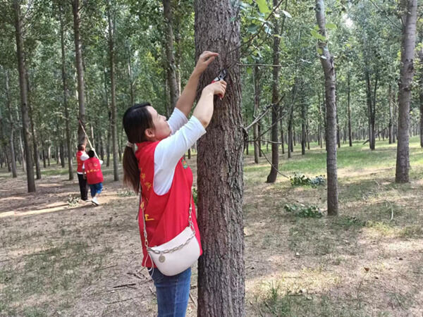 1694072750506829.png 3_副本.png