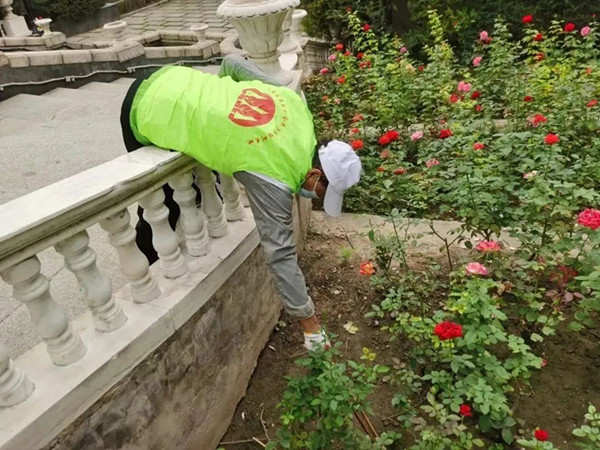 1695785784483556.jpg 640_副本.jpg