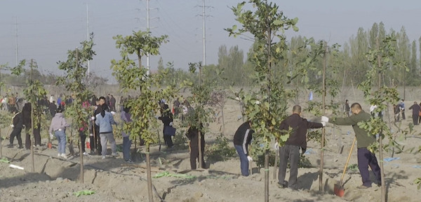 1698210462516536.jpg 1_副本.jpg