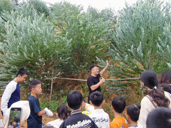 1698729839780446.jpg 2_副本.jpg