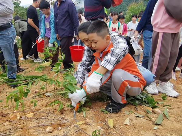 1698729869412138.jpg 5_副本.jpg