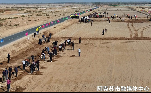 1698731749308943.jpg 442171e3-5ba8-4dd0-939d-4a4d27b6d2d5_副本.jpg