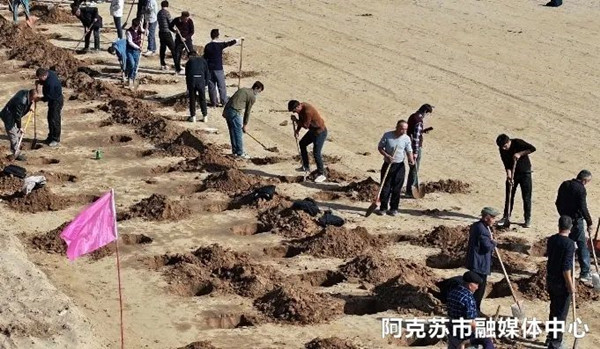 1698731759517425.jpg 23106428-dbab-48f9-a65b-9c900c63770f_副本.jpg